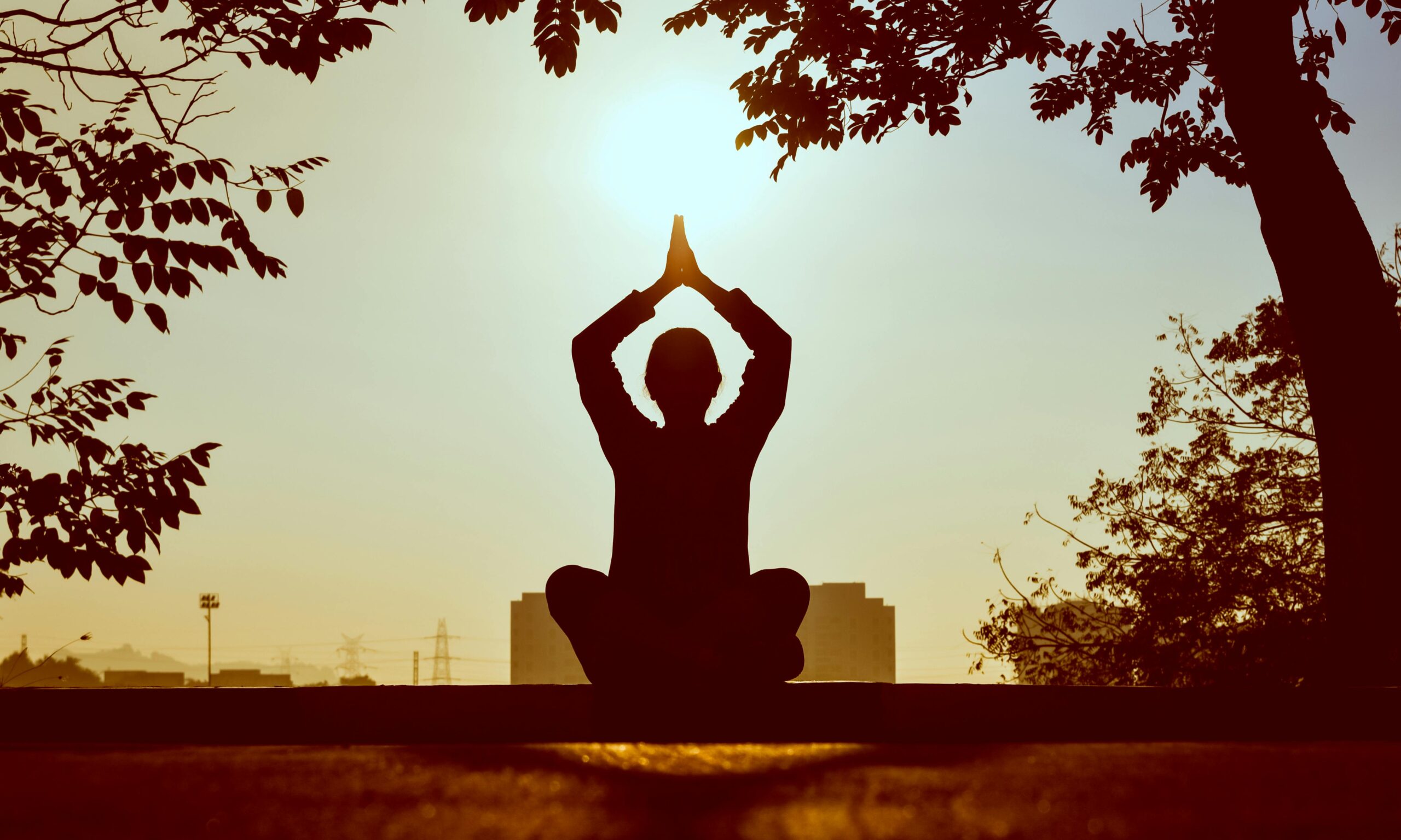 Altered Traits: How Meditation Transforms Us at the Deepest Level
