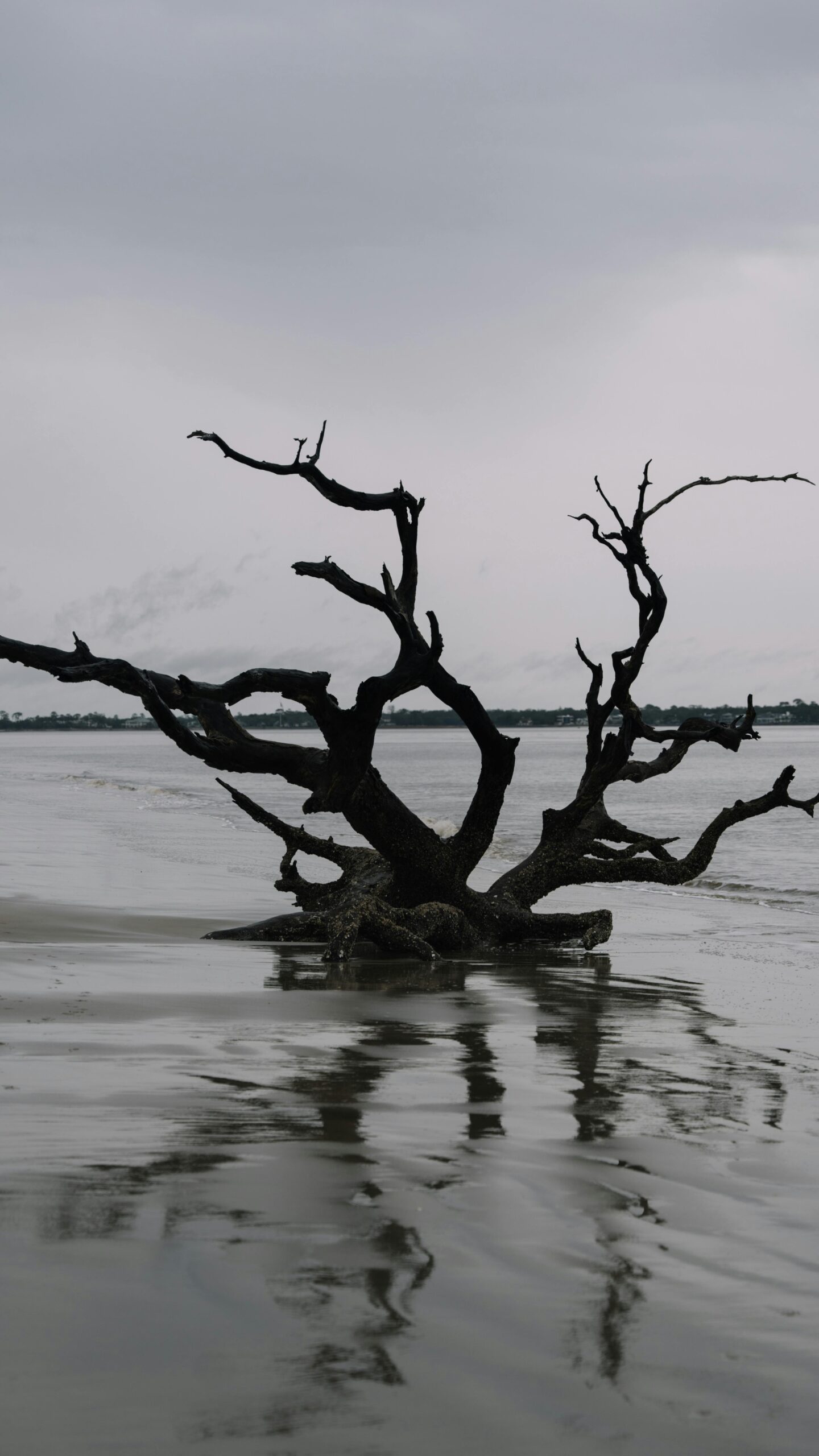 The Creature from Jekyll Island: What You Weren’t Taught About the Federal Reserve