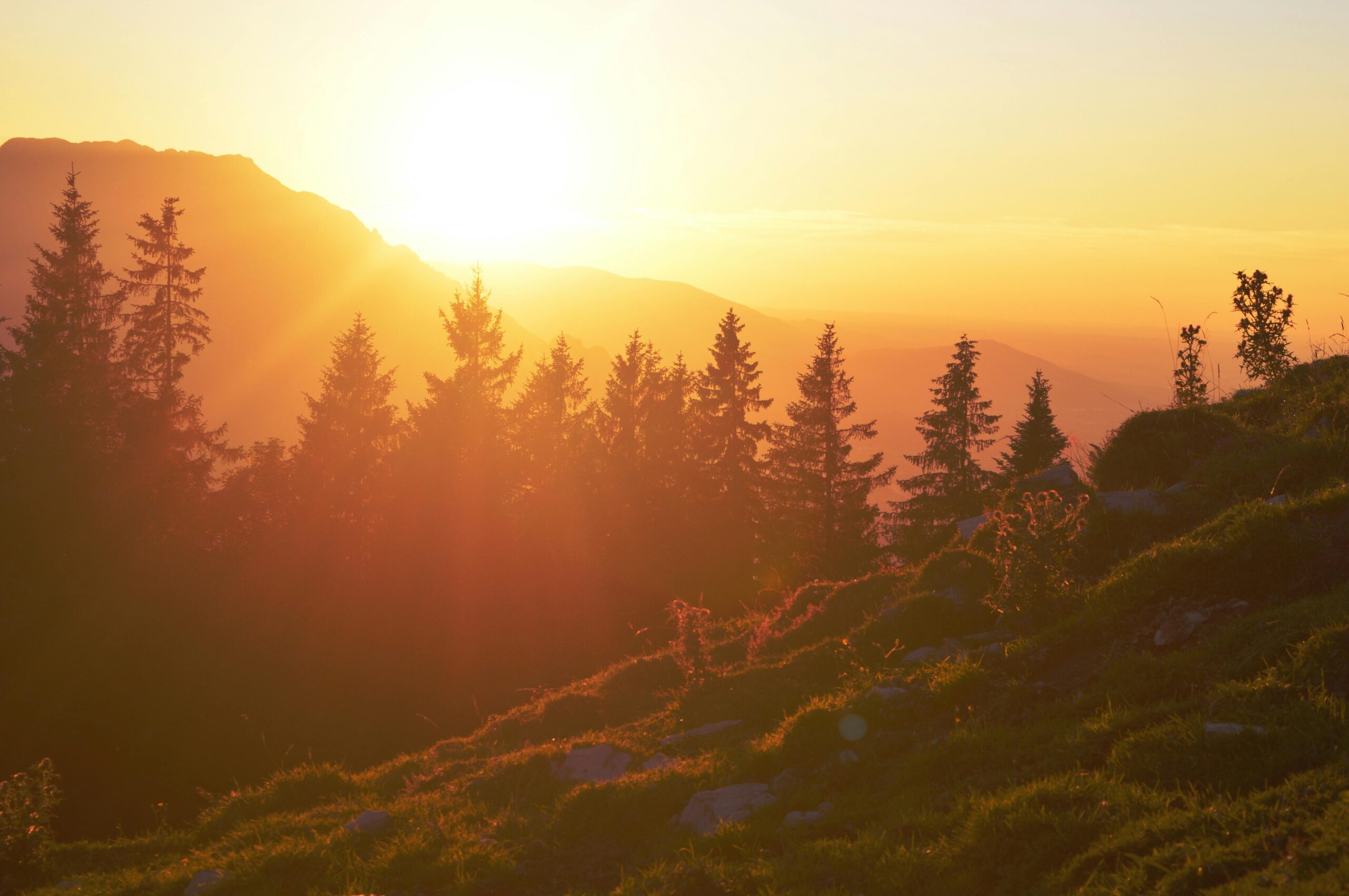 Superabundance: Why More People Means More Prosperity – Book Summary