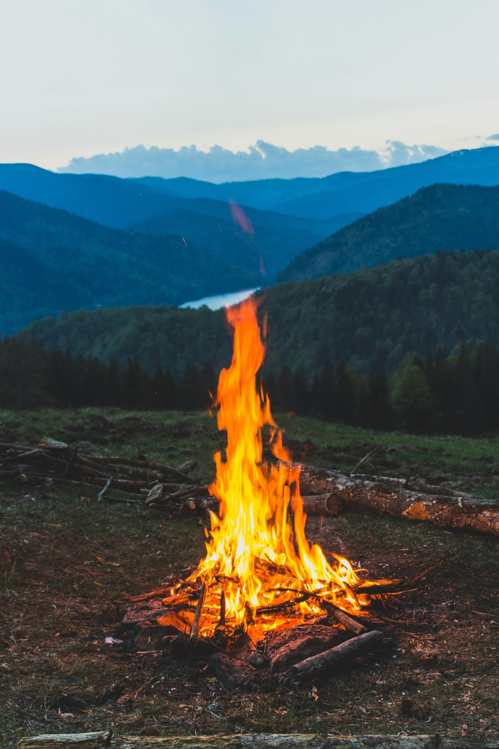 Catching Fire: How Cooking Made Us Human – A Deep Dive Into Richard Wrangham’s Evolutionary Thesis – Book Summary